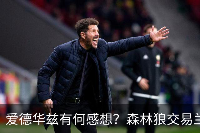 爱德华兹有何感想？森林狼交易兰德尔断臂求生 只为续约道苏姆？